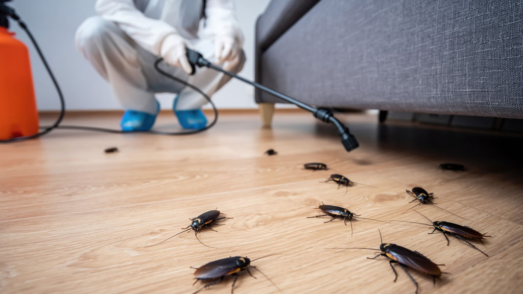 Sacoche d'équipement professionnel anti-nuisibles avec matériel de diagnostic